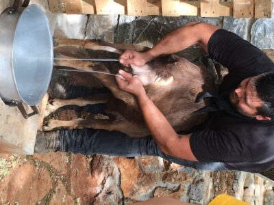 Rethymno 4×4 Safari: Tastes & Farm Experience
