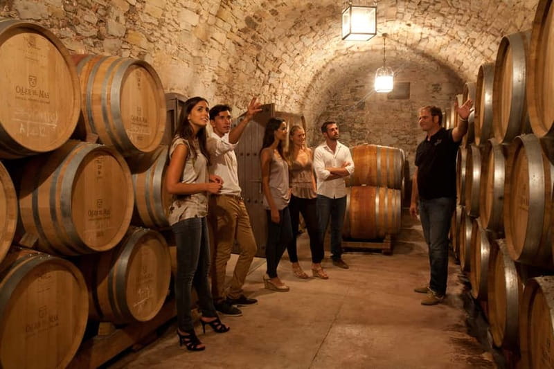 Rías Baixas Albariño Experience: Winery Visit & Cheese - Three white wines with Galician cheese