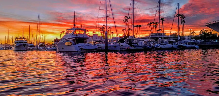 Romantic Boat Cruise with Wine & Cheese or Surprise Dinner - What Captain Shaun adds to the ride