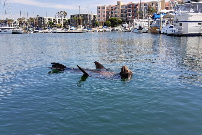 Romantic Luxury Boat Cruise with Wine Cheese Sea LionTours - What you see from the boat