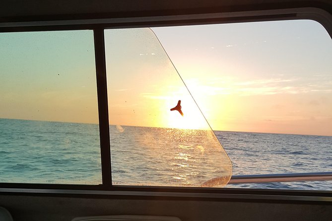Romantic Wine and Cheese Boat Tower Cruise - Setting out from Quivira Road at 4:30 pm