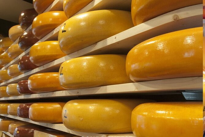 Rotterdam & Gouda Private Daily Walking Tour - Key points at a glance
