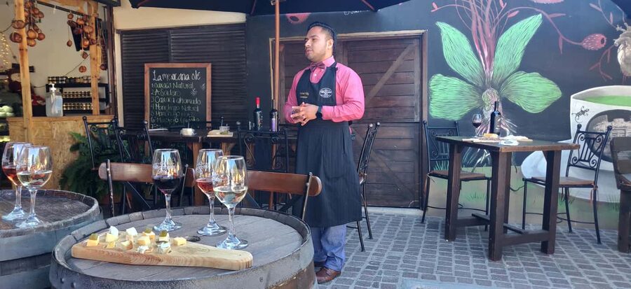 Santiago de Querétaro: Pueblos Mágicos Cheese and Wine Route - Tequisquiapan: pink quarry and wicker markets