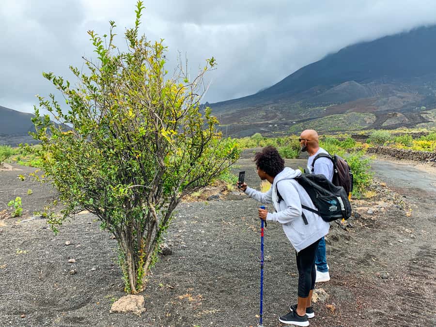 São Filipe: Fogo Volcano with Wine and Cheese Tasting - Is seven hours realistic?