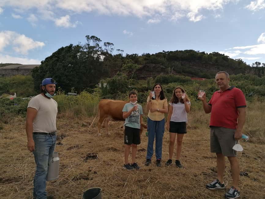 Sao Jorge Cheese Tour - Half day - How the guides shape the experience