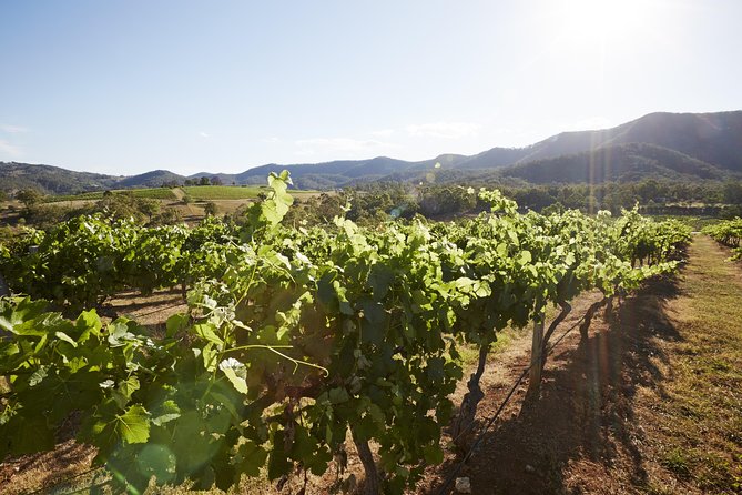 Scenic Hunter Valley Tour with Wine and Cheese Tastings - What the long day feels like in practice