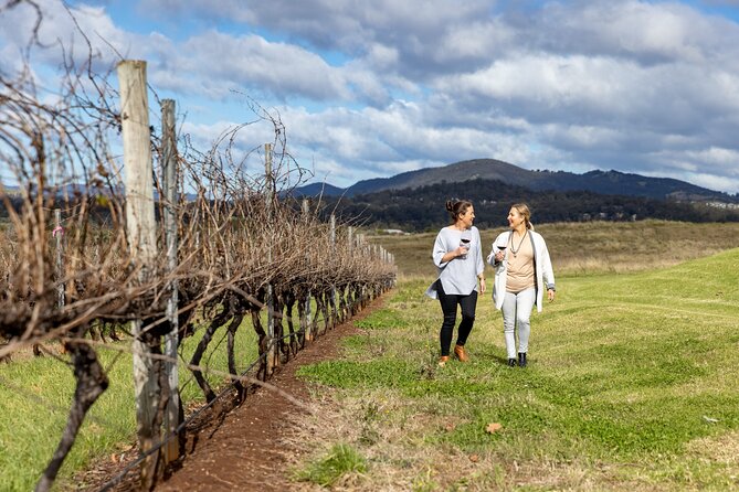 Scenic Hunter Valley Tour with Wine and Cheese Tastings - Three boutique wineries and a changing lineup