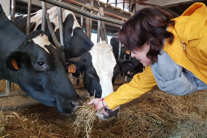 Secrets of Parmigiano Reggiano and Balsamic Vinegar - Seeing traditional balsamic vinegar in Albinea