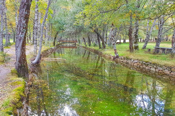 Serra da Estrela - Half-day off-road tour with cheese tasting - Why a local guide matters on Serra da Estrela