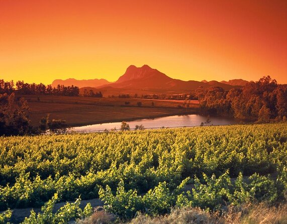 Shared Tour To The Wineries Stellenbosch Paarl + Cheese Tasting from Cape Town - Key points to know before booking