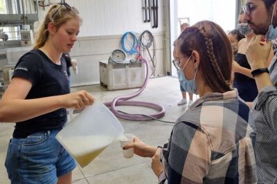 Small Group Hunter Valley Wine Tour w Lunch, Gin, Cheese & Choc