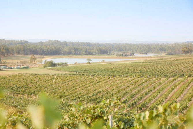 Small Group Hunter Valley Wine Tour w Lunch, Gin, Cheese & Choc - Why the guide matters so much