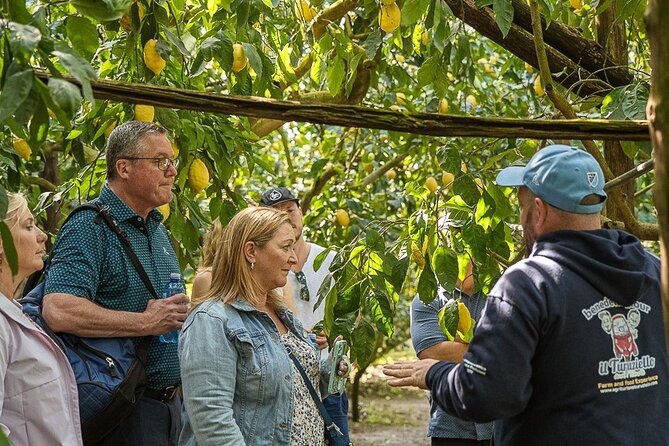 Sorrento Ape Tour, Lemon Garden, Mozzarella Show & Pizza Class - A warm welcome, with the right expectations