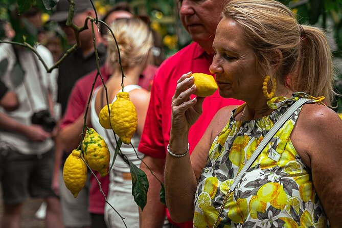 Sorrento Ape Tour, Lemon Garden, Mozzarella Show & Pizza Class - Schiazzano and the story of the Sorrento lemon