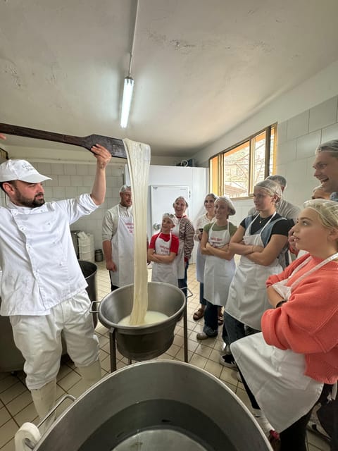 Sorrento Coast Mozzarella Tasting & Cheese Making Experience - Key points to know before booking