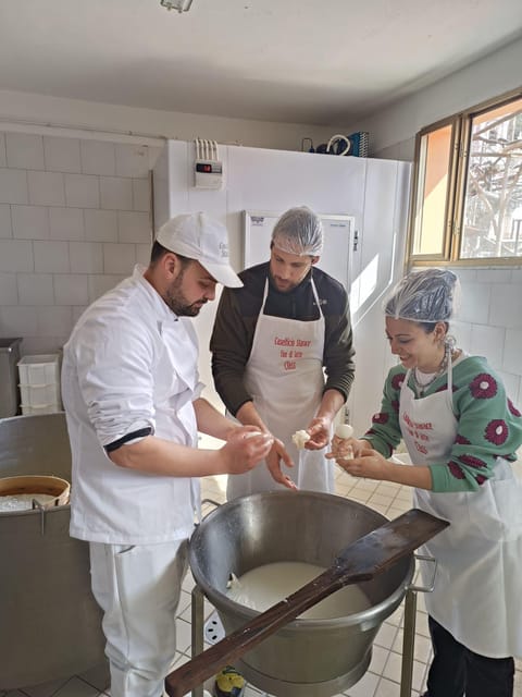 Sorrento Coast Mozzarella Tasting & Cheese Making Experience - Should you book the mozzarella workshop?