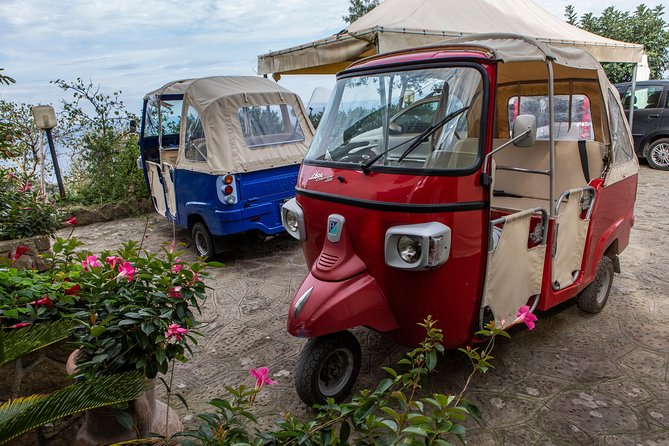 Sorrento Farm by Tuk Tuk: Cheese, Limoncello & Hands-On Pizza - Olive oil, bread, and the small details