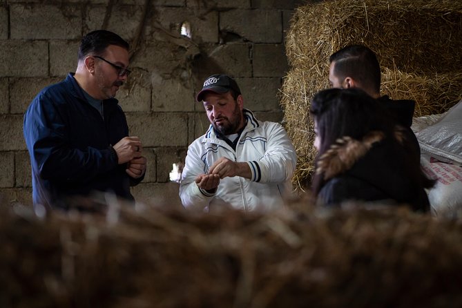 Sorrento Farm by Tuk Tuk: Cheese, Limoncello & Hands-On Pizza - Making a real Neapolitan pizza