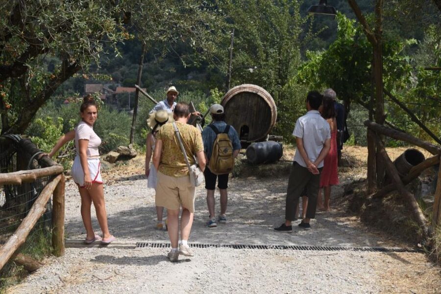 Sorrento Farm Experience: Pizza, Cheese, Wine & More - Starting at the DOP-certified farm