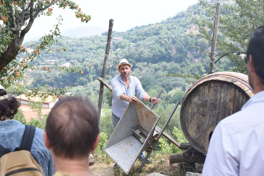 Sorrento: Farm Tour with Cheese Tasting & Pizza Making Class - Key points to know before booking
