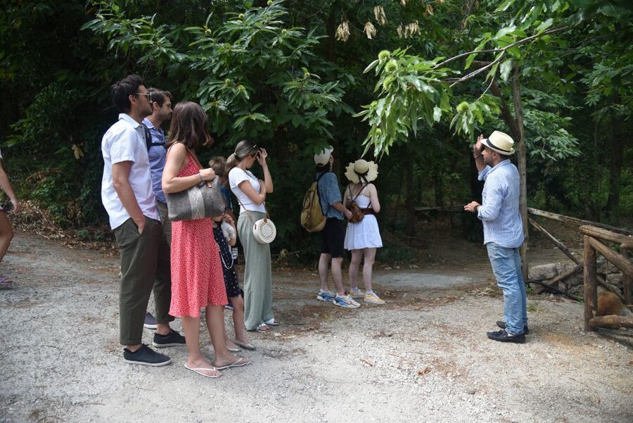 Sorrento: Farm Tour with Cheese Tasting & Pizza Making Class - Why the family setting matters