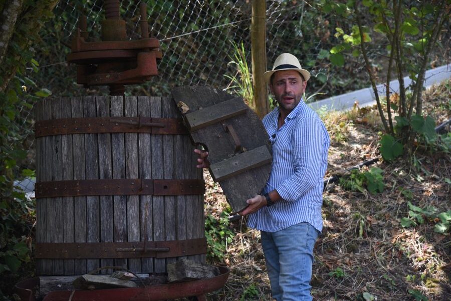 Sorrento: Farm Tour with Cheese Tasting & Pizza Making Class - Food, wine, limoncello, and value