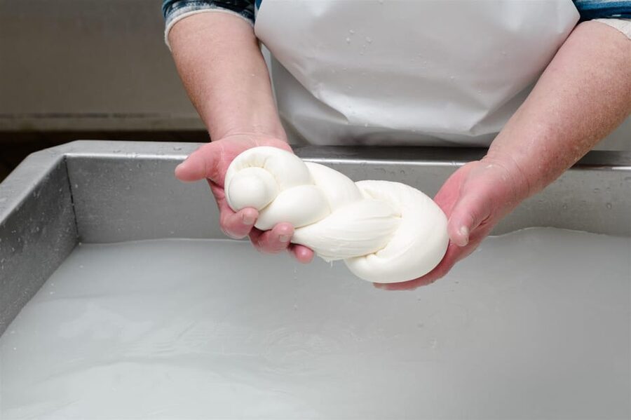 Sorrento: mozzarella cheese workshop in Vico Equense - What happens inside the Vico Equense dairy