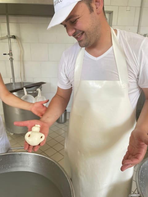 Sorrento: mozzarella cheese workshop in Vico Equense - A tasting built around the dairy’s daily supply