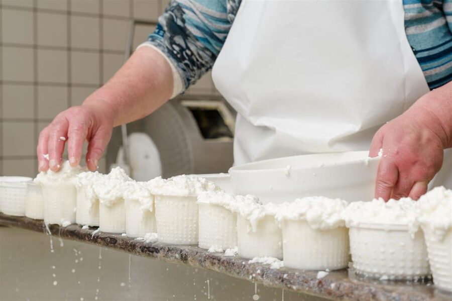 Sorrento: mozzarella cheese workshop in Vico Equense - Getting your hands on fior di latte mozzarella