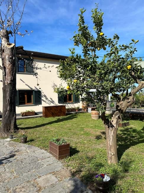 Sorrento: Mozzarella experience. Say CHEESE with us! - Reaching the farm from Sorrento
