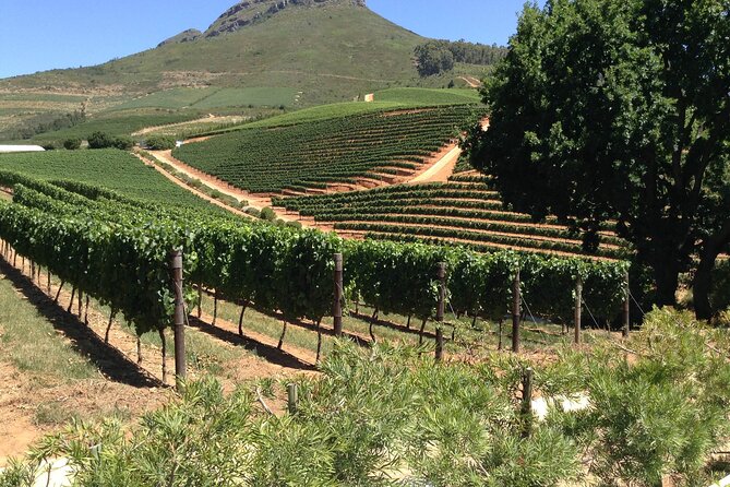 Stellenbosch Franschhoek Full-Day Tour with Cheese Tasting - Bergkelder: wine-making history underground