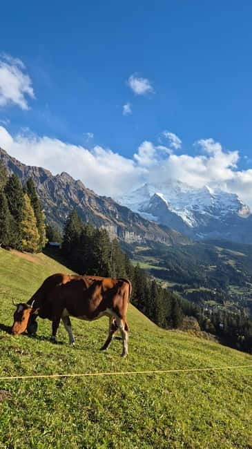 Sunset Hike with Cheese Fondue in Wengen - Timing, cancellation, and practical limits