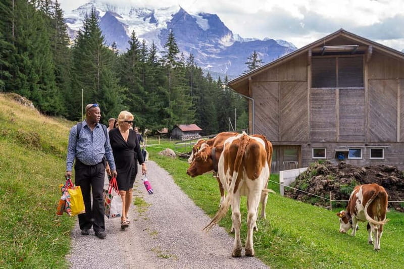 Sunset Hike with Cheese Fondue in Wengen - What to pack for a comfortable evening