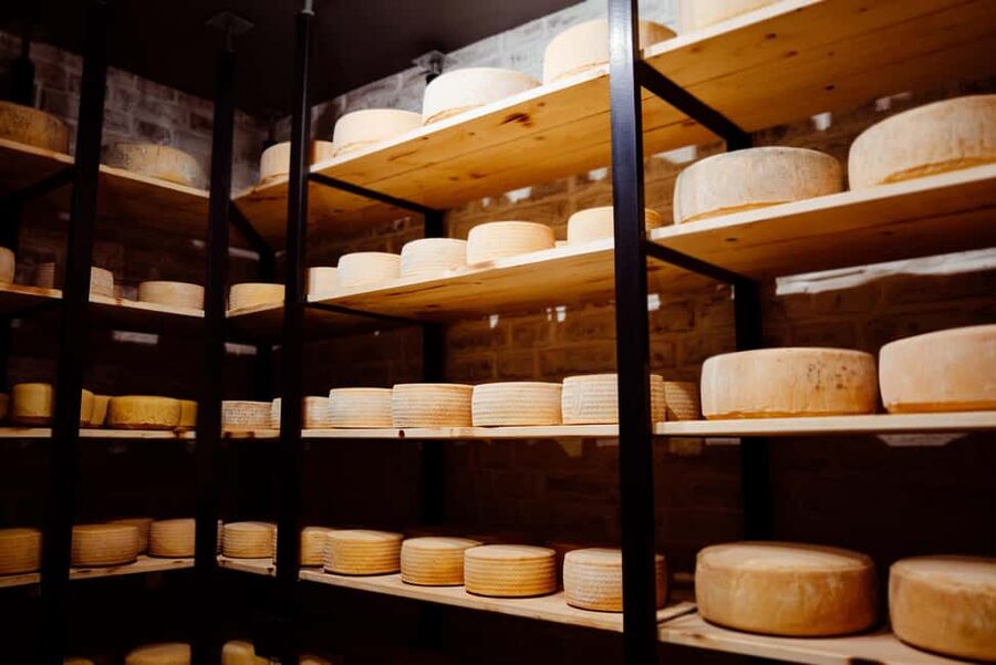 Swiss Cheese Tasting Experience | Basel - Who should book this experience?