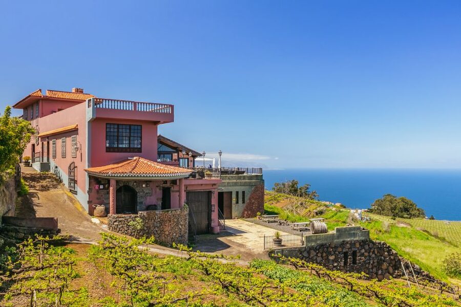 Tacoronte: Guided Winery Tour with Wine and Cheese Tastings - The views are part of the experience