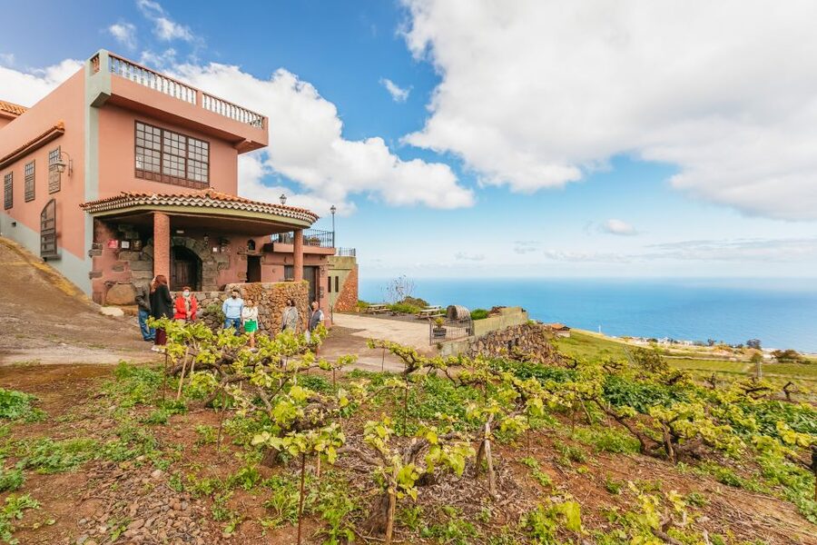Tacoronte: Guided Winery Tour with Wine and Cheese Tastings - Is $41 a fair price?