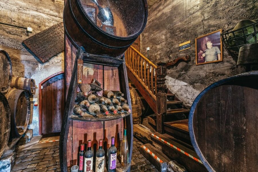 Tacoronte: Guided Winery Tour with Wine and Cheese Tastings - Language, pace, and accessibility