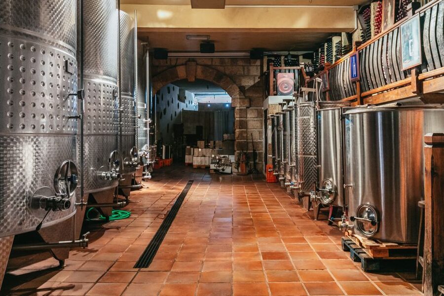 Tacoronte: Guided Winery Tour with Wine and Cheese Tastings - Who will enjoy Bodegas Monje most?