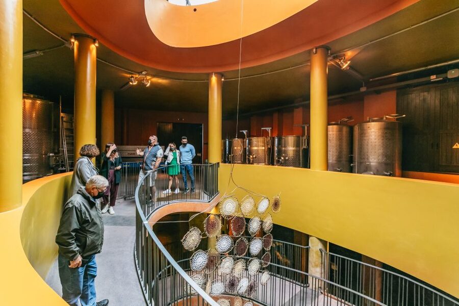 Tacoronte: Guided Winery Tour with Wine and Cheese Tastings - Practical advice before you go