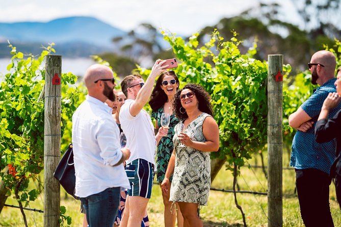 Tasmanian Premium Wine Tour with Tasmanian Cheese Platter - Guides make the difference