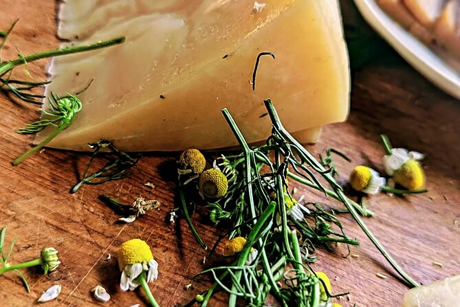Taste of Europe in Mexico: History and Flavors of Artisan Cheese - The home setting and city view