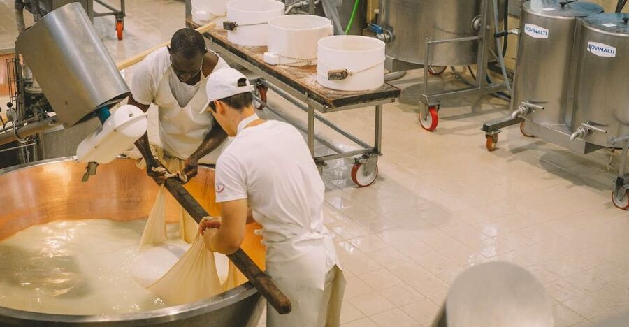 Taste of Modena: Prosciutto, Parmesan, Balsamic & Ferrari - Prosciutto production and the cold zone