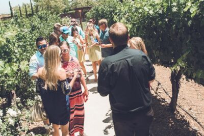 Temecula Valley Afternoon Wine Tour with Tastings and Cheeseboard