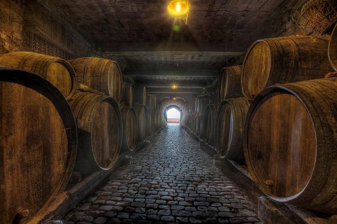 Tenerife Bodegas Monje Winery Tour with Wine and Cheese Tasting - Arriving at Bodegas Monje in El Sauzal