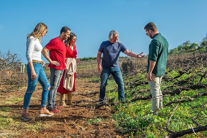 Tenerife Bodegas Monje Winery Tour with Wine and Cheese Tasting - Booking, cancellation, and timing tips
