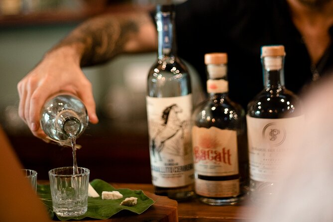 Tequila and Mezcal Tasting in Tulum with Cheese Pairing - From agave plant to bottle