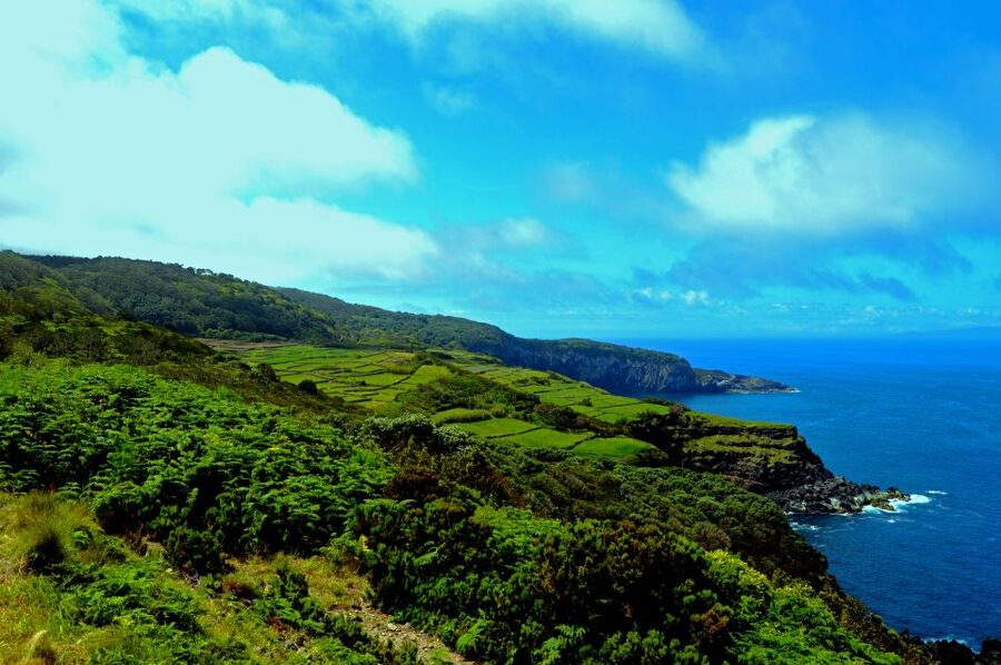 Terceira: Half-Day Island Tour with Cheese Tasting - A four-hour introduction to western Terceira
