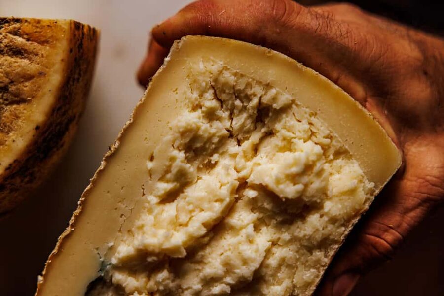 Testaccio: Exclusive tasting of PDO wines, cheeses, and cured meats from Lazio - The guides make the difference