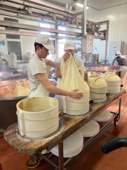 The Art of Parmigiano Reggiano & Aged Balsamic Vinegar - Five reasons this Modena food tour is worth your time
