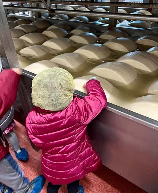 The Art of Parmigiano Reggiano & Aged Balsamic Vinegar - At Acetaia Malagoli Daniele, Modena’s black gold